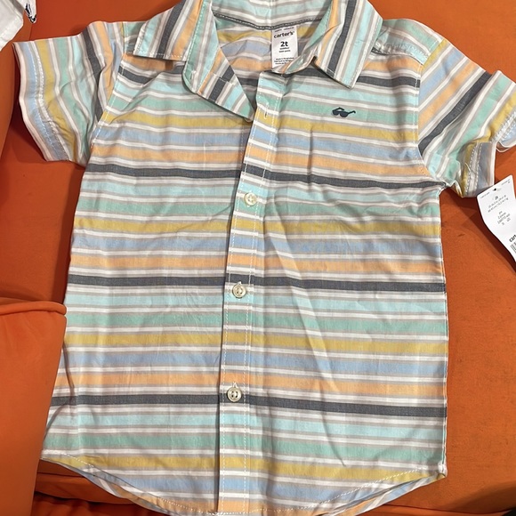 Size 2T 2 short sleeve button down, swimming trunk, sleeveless tank. - Picture 5 of 6